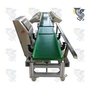 سورتینگ 6 بازه ماهی