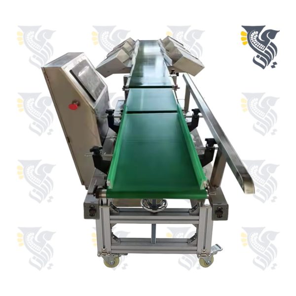 سورتینگ 6 بازه ماهی