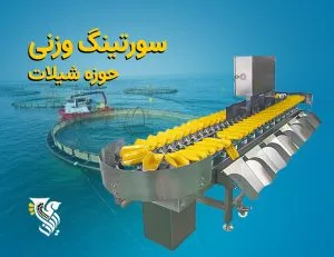 سورتینگ وزنی ماهی